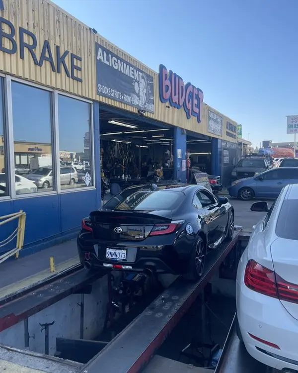 Shock & Strut Replacement by Highly Trained Technicians